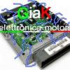 giak.elettronica.motors